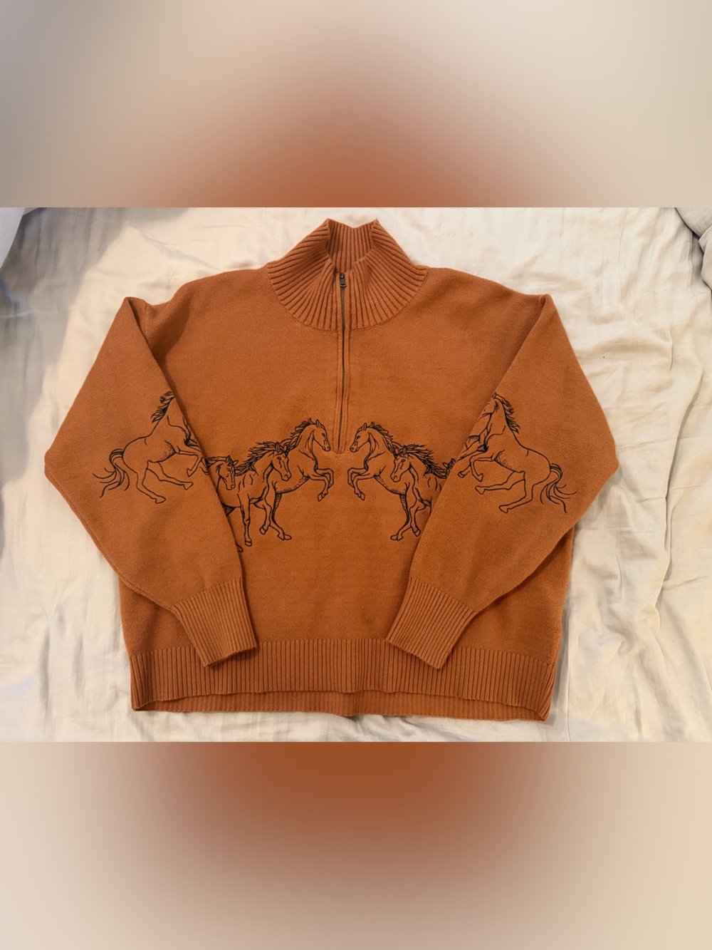 Maeve Anthropologie Montana Mock Neck Half Zip Sweater Sz S Horses Western